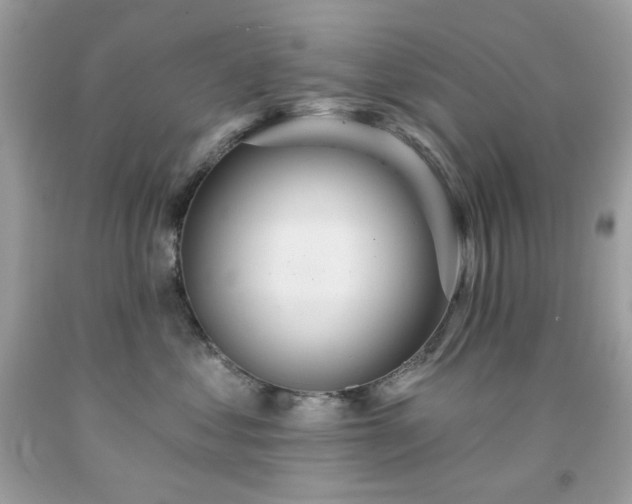 X0000091930621200709121600