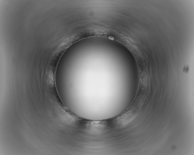 X0000091930622200709121600