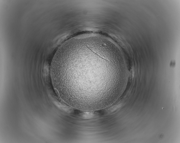 X0000091930623200709121600