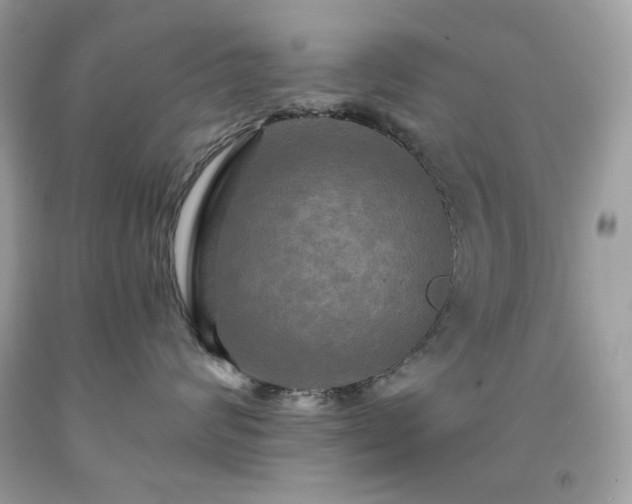 X0000091930624200709121600