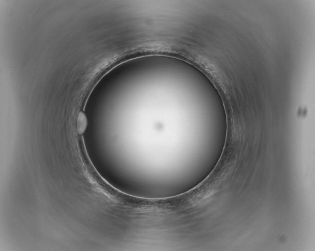 X0000091930625200709121559
