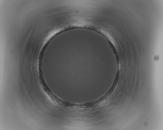X0000091930626200709121559
