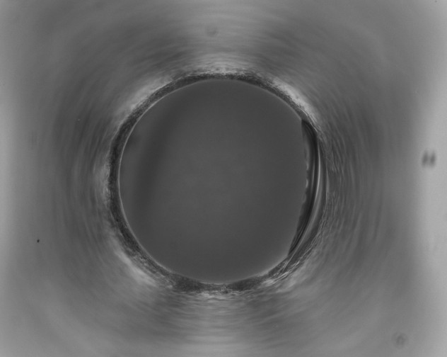 X0000091930627200709121559