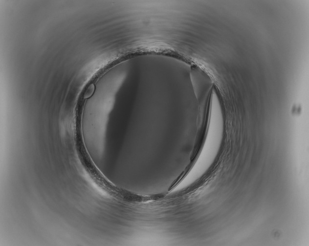 X0000091930630200709121559
