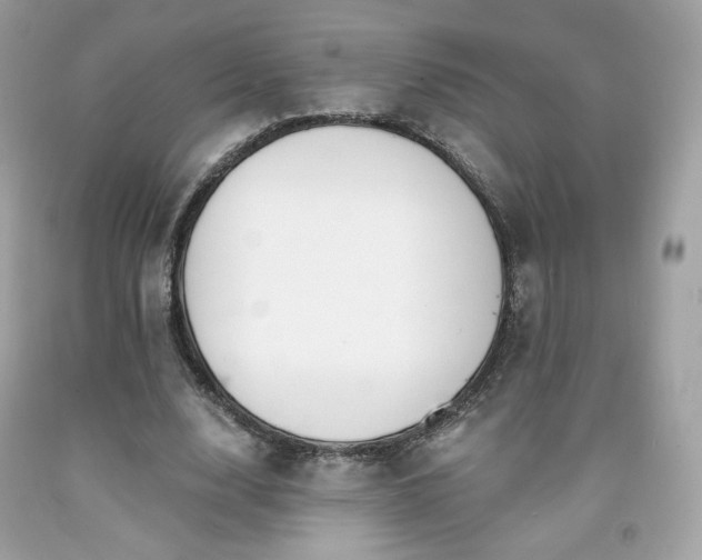 X0000091930632200709121559