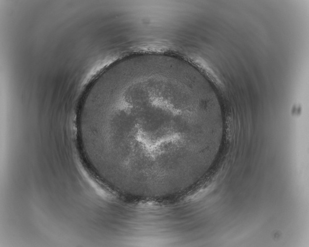 X0000091930634200709121559