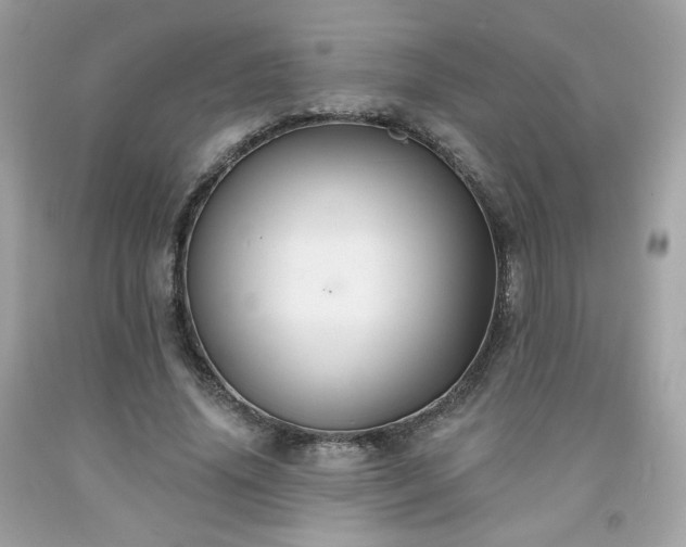 X0000091930636200709121559