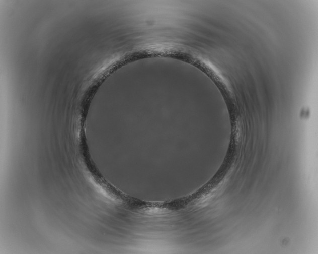 X0000091930637200709121559