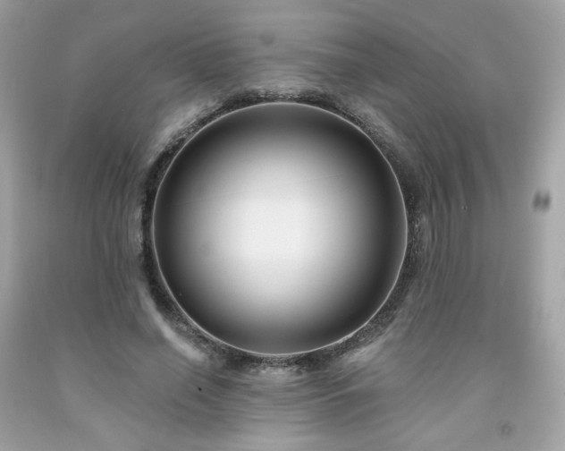 X0000091930638200709121559