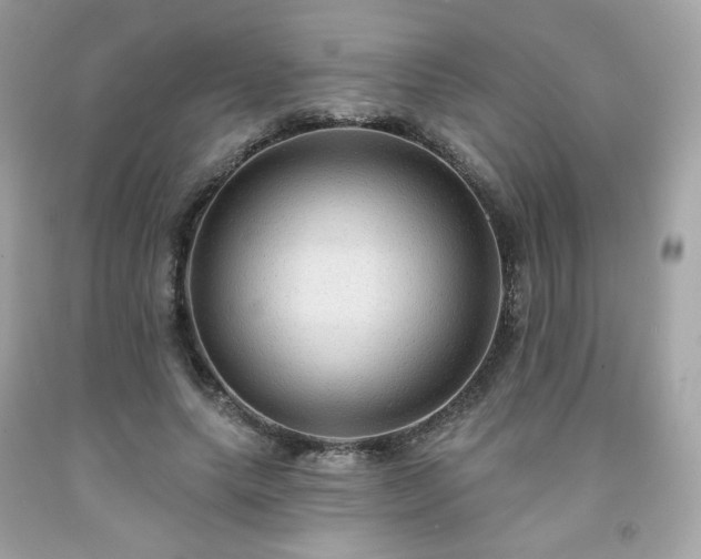 X0000091930639200709121559