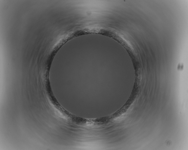X0000091930641200709121559