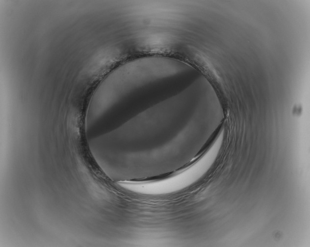 X0000091930643200709121600