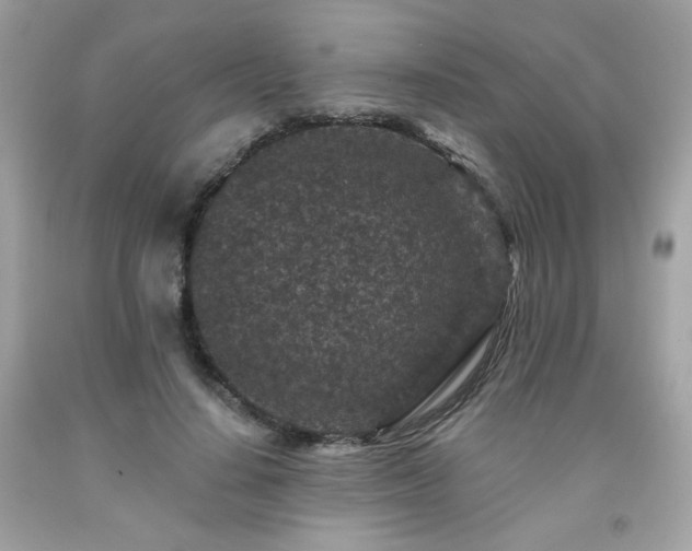 X0000091930644200709121600