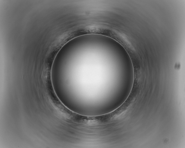 X0000091930645200709121600