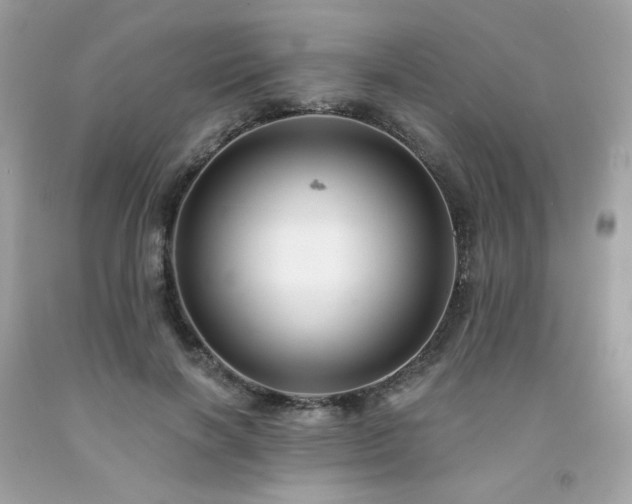 X0000091930646200709121600
