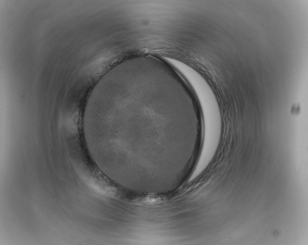 X0000091930647200709121600
