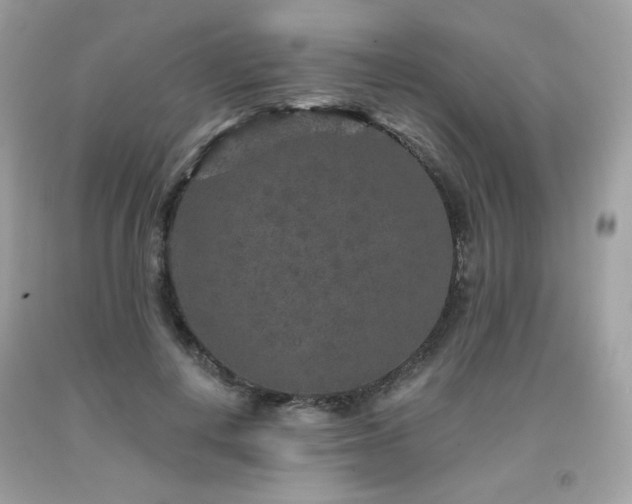 X0000091930648200709121600