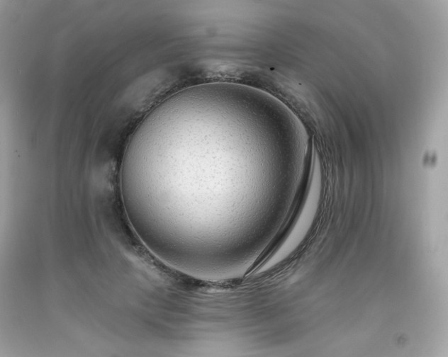 X0000091930649200709121600