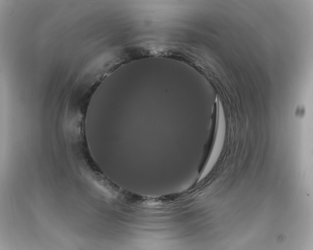 X0000091930650200709121600