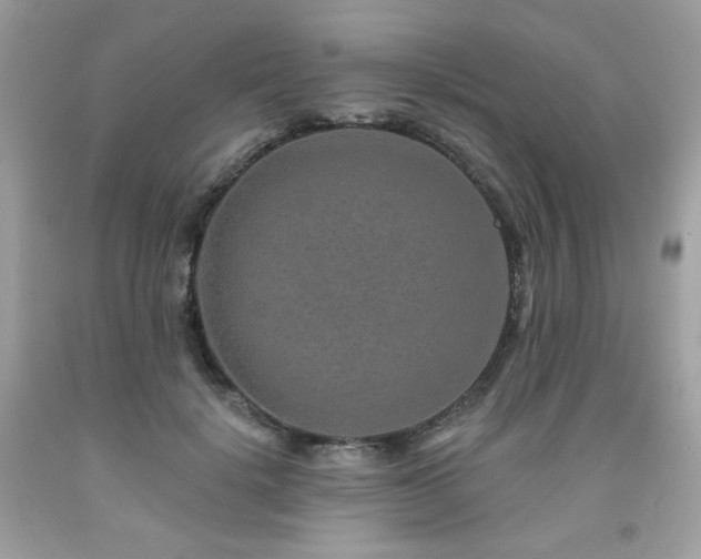 X0000091930652200709121600