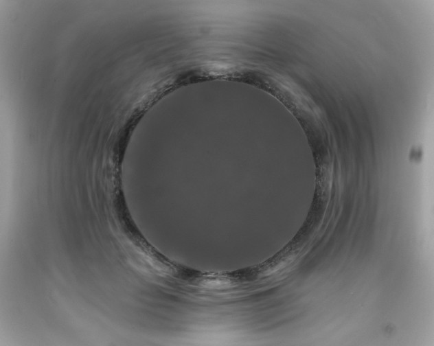 X0000091930653200709121600