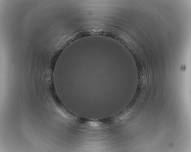 X0000091930654200709121600