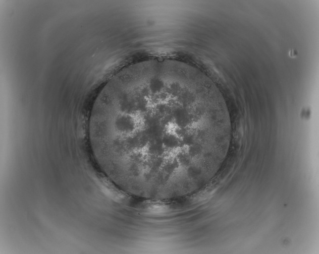 X0000091930658200709121600