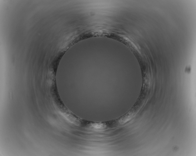 X0000091930659200709121600
