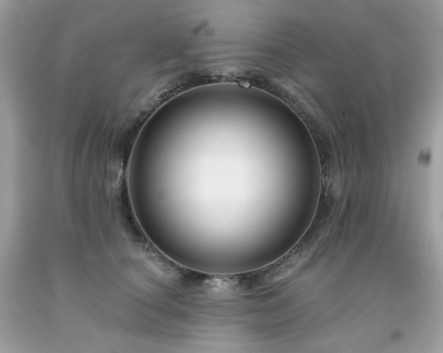 X0000091930660200709121600