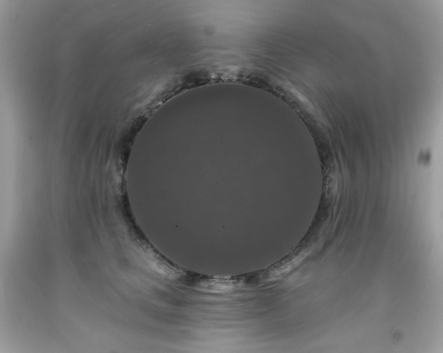 X0000091930661200709121600
