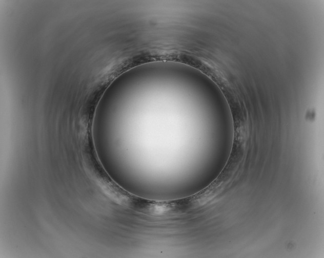 X0000091930662200709121600