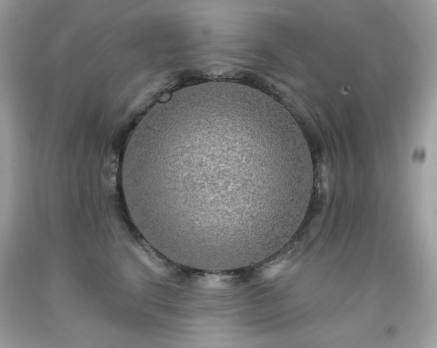 X0000091930664200709121600