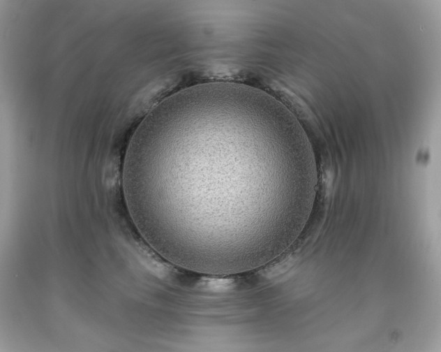 X0000091930665200709121600