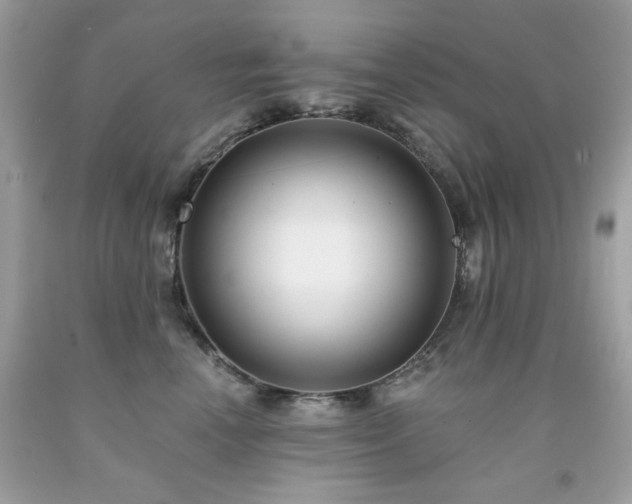 X0000091930666200709121600