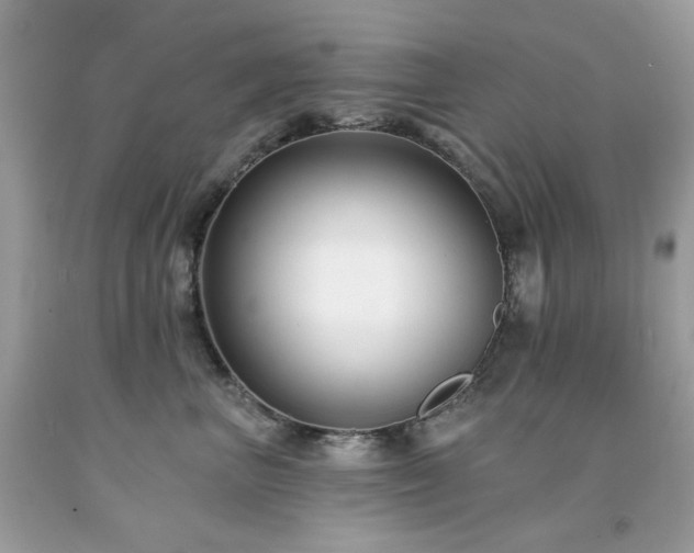 X0000091930667200709121600