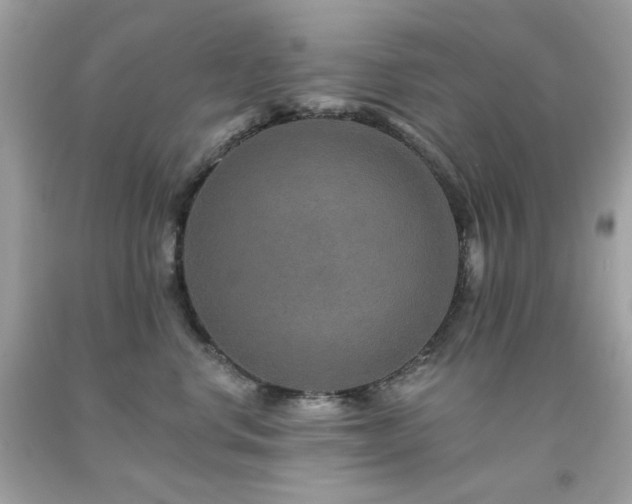 X0000091930668200709121600