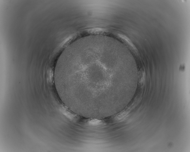 X0000091930669200709121600