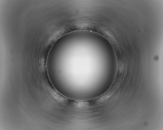 X0000091930670200709121600