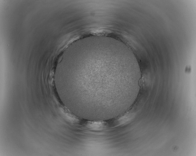 X0000091930671200709121600