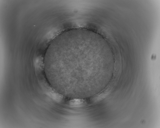 X0000091930672200709121600