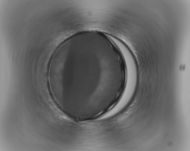X0000091930673200709121559