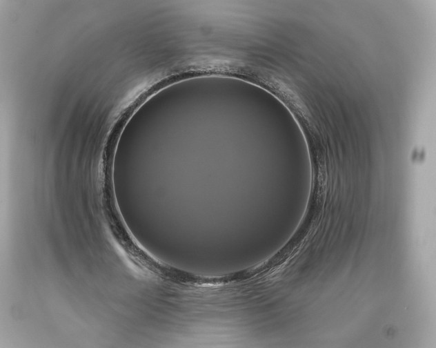 X0000091930674200709121559