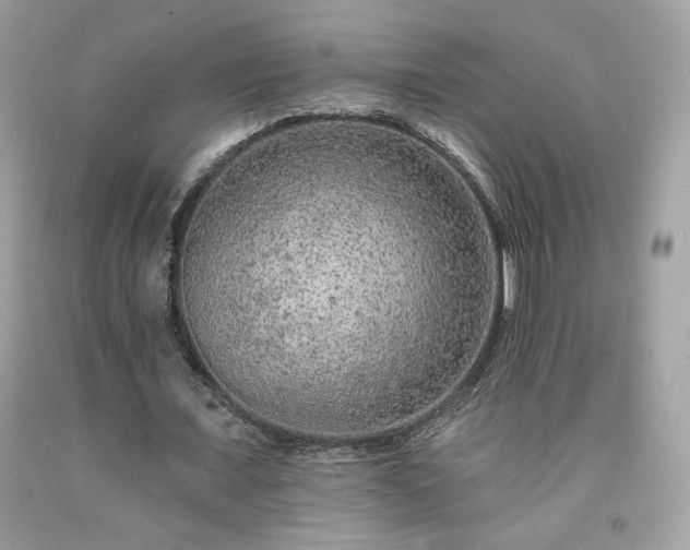 X0000091930675200709121559