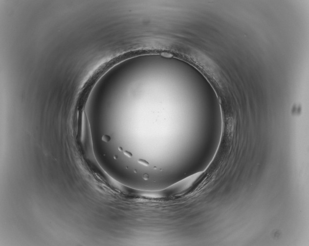 X0000091930676200709121559