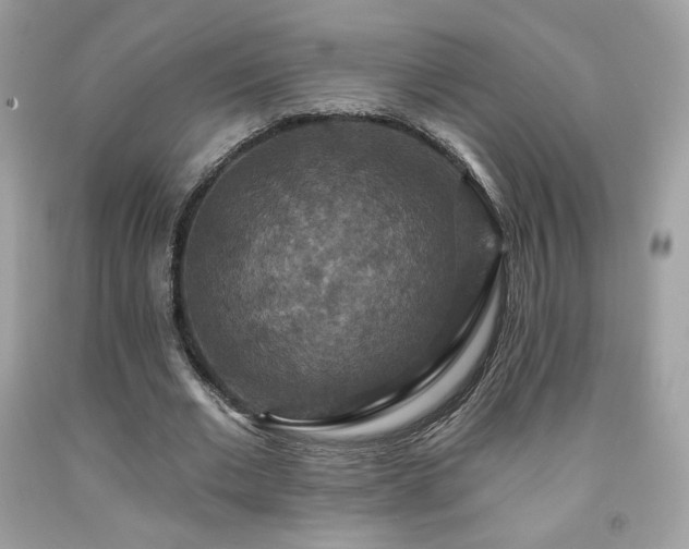 X0000091930677200709121559