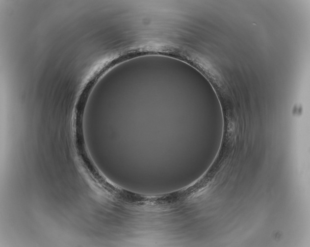 X0000091930678200709121559