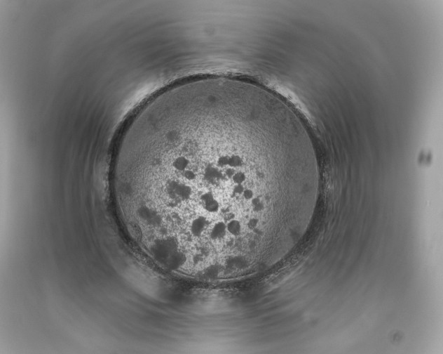X0000091930679200709121559