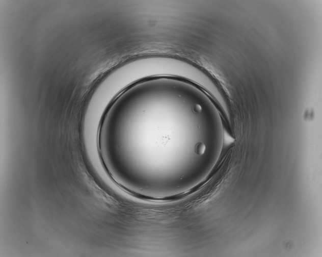 X0000091930681200709121559