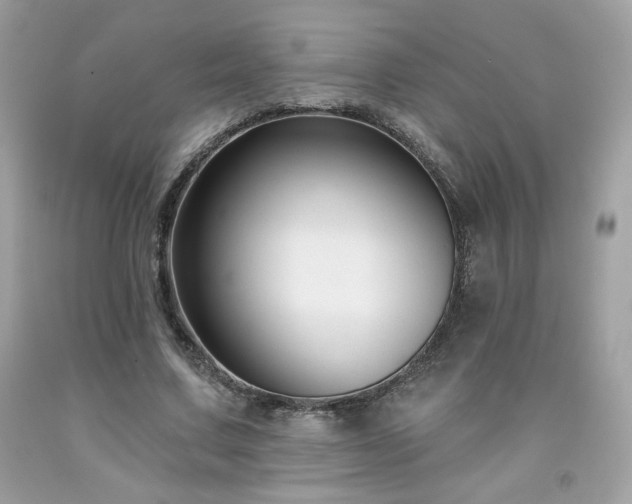 X0000091930683200709121559