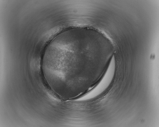 X0000091930685200709121559